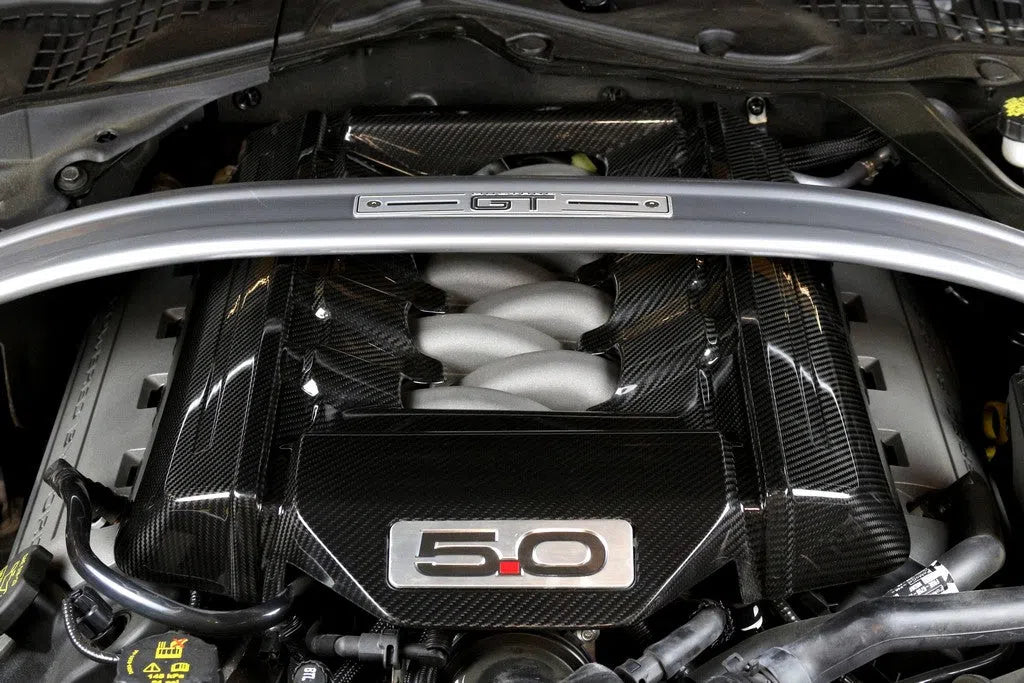 APR Performance Carbon Fiber Engine Cover 5.0 for Ford Mustang 2015-2017-DSG Performance-USA