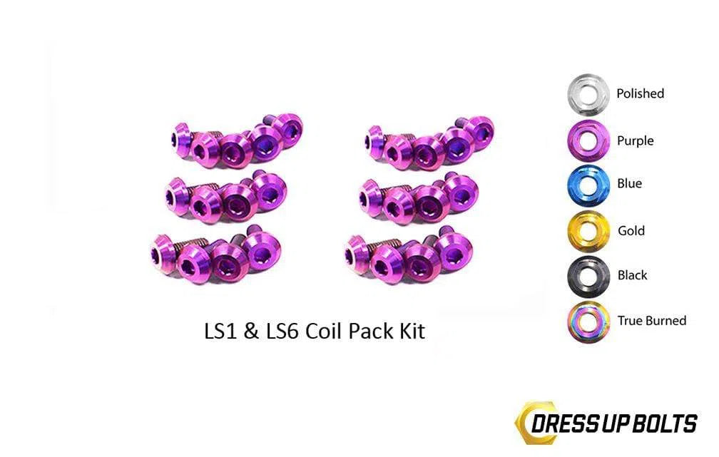 LS1 - LS6 Titanium Dress Up Bolts Coil Pack Kit (Corvette, Camaro, Trans AM, GTO)-DSG Performance-USA