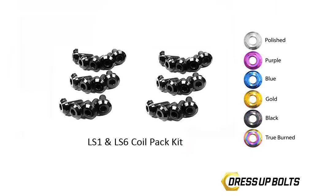 LS1 - LS6 Titanium Dress Up Bolts Coil Pack Kit (Corvette, Camaro, Trans AM, GTO)-DSG Performance-USA